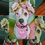 Kim Mello - @poshpitflowergoddess - Instagram