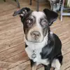 Kim💜🐾 - @kimmerkel1 - TikTok
