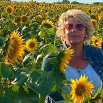 Kim Meyer - @kimmeyerrealtor - Instagram