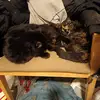 Kimberly Meyer0828 - @kimberly.meyer082 - TikTok