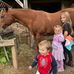 Kim Michaud - Facebook