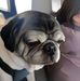 Kim Michaud - Facebook