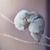 kimmichaud562 - @kimmichaud562 - TikTok