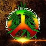 Kim Minter - @hippiedreaming66 - Instagram