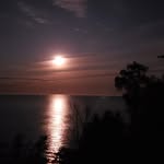 Kim M Moeller - @kimmmoeller - Instagram