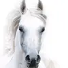 Kim Moeller - @kimmoeller762 - TikTok