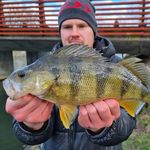 Kim Möller - @kimmoller.fishing - Instagram