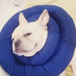 노아랑 먼데이네 - @monday_kim_ - Instagram