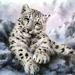 Kim Morrell - @acatalyst4u - Instagram