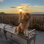 Kim Mullen Maher - @mullen1221 - Instagram