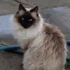 Kim Mullin - @kim.mullin0 - TikTok