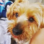 Kim Mullin - @kimbo.mullin - Instagram