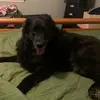 kimmullins577 - @kimmullins577 - TikTok
