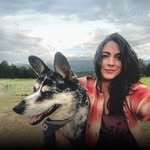 Kim Nall - @llanmik - Instagram