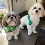 Kim Naumann - @mnvikes81 - Instagram