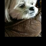 Kim Naumann Labine - @kim_labine - Instagram
