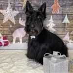 Kim Neilson - @kim.neilson3 - Instagram