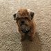Kim Ness - Facebook