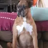 Kimmi - @kimnevins - TikTok