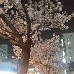 엄마곰김유진 - @kimnew0112 - Instagram