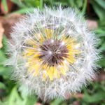 Kim Newcomb Parsons - @kimkiwip - Instagram