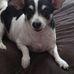 Kim Nickell - Facebook