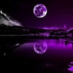 Kim - @kimnickless1 - Instagram