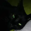 Kim Nilan - @kim.nilan - TikTok