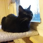 Kim Nilan - Facebook