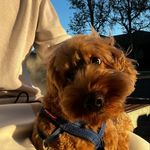 noah - @_kimnoah - Instagram
