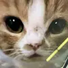 Kim J 🤪 - @nott.kim - TikTok