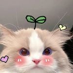 @kimn_oy - Instagram