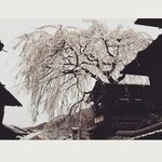 김누리 - @kimnull_2 - Instagram