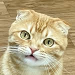 김땅콩 - @kimnutt_ - Instagram