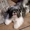 Kim Oddo - @kim.oddo7 - TikTok