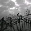 ki - @kimoleste - TikTok