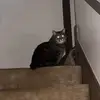Kim Olmstead - @kim.olmstead - TikTok
