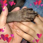 Kim Pace - @kobe_aka_littleman - Instagram