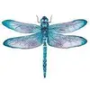 Kim Pace Shuster - @kim.pace.shuster - TikTok