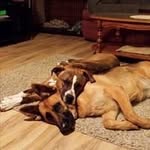 Kim Palin - @kim.burragepalin - Instagram