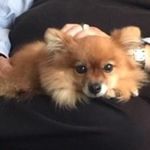 Kim Pankey Sullivan - @kim.p.sullivan.3 - Instagram