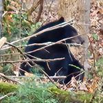 Kim Partin - @kimpartin1957 - Instagram