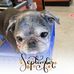 Kim Pease - Facebook