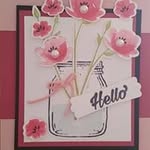 Kim Pebley - @kimpebquilts - Instagram