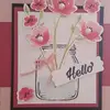 Kim Pebley - @kim.pebley - TikTok
