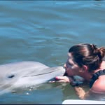 Kim Penrose Montaner - @kpmontaner - Instagram