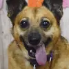 Kim - @kimperriemprendedora - TikTok