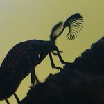 Kim PerrierStudio - @kimperrierstudio - Instagram