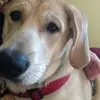 kimpetrie535 - @kimpetrie535 - TikTok