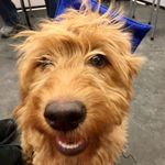 Kim Philipps - @philippskim - Instagram